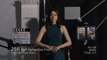 256 Half Hampshire Frost Lighting Diffusion