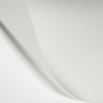 404 Half Soft Frost Lighting Gel