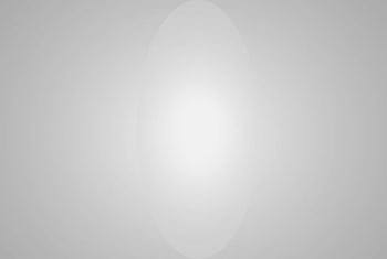 430 Grid Cloth Diffusion