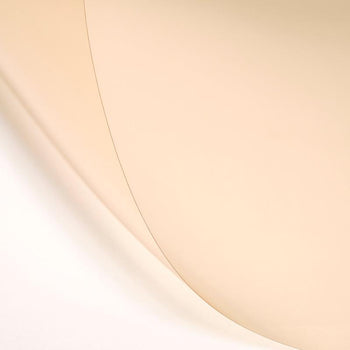 LEE Filters 223 Eighth CTO CT Orange Photo