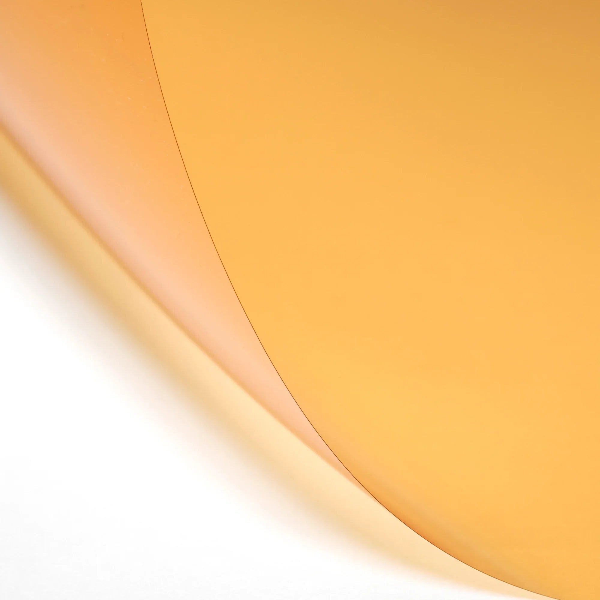 205RC1_Gel_Color_b943866a-0246
