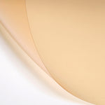 206 Quarter C.T. Orange Lighting Gel