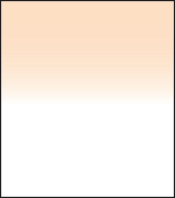 SW150 Coral 4 Grad Hard