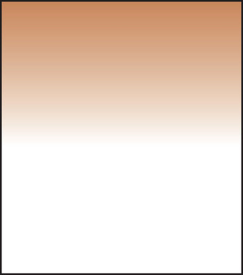 SW150 Tobacco 2 Grad Soft